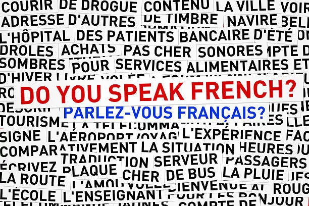 Do you speak French? Parlez-vous français? surrounded by French words